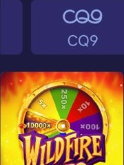 Popular Game 133