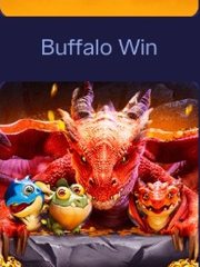 Popular Game 162