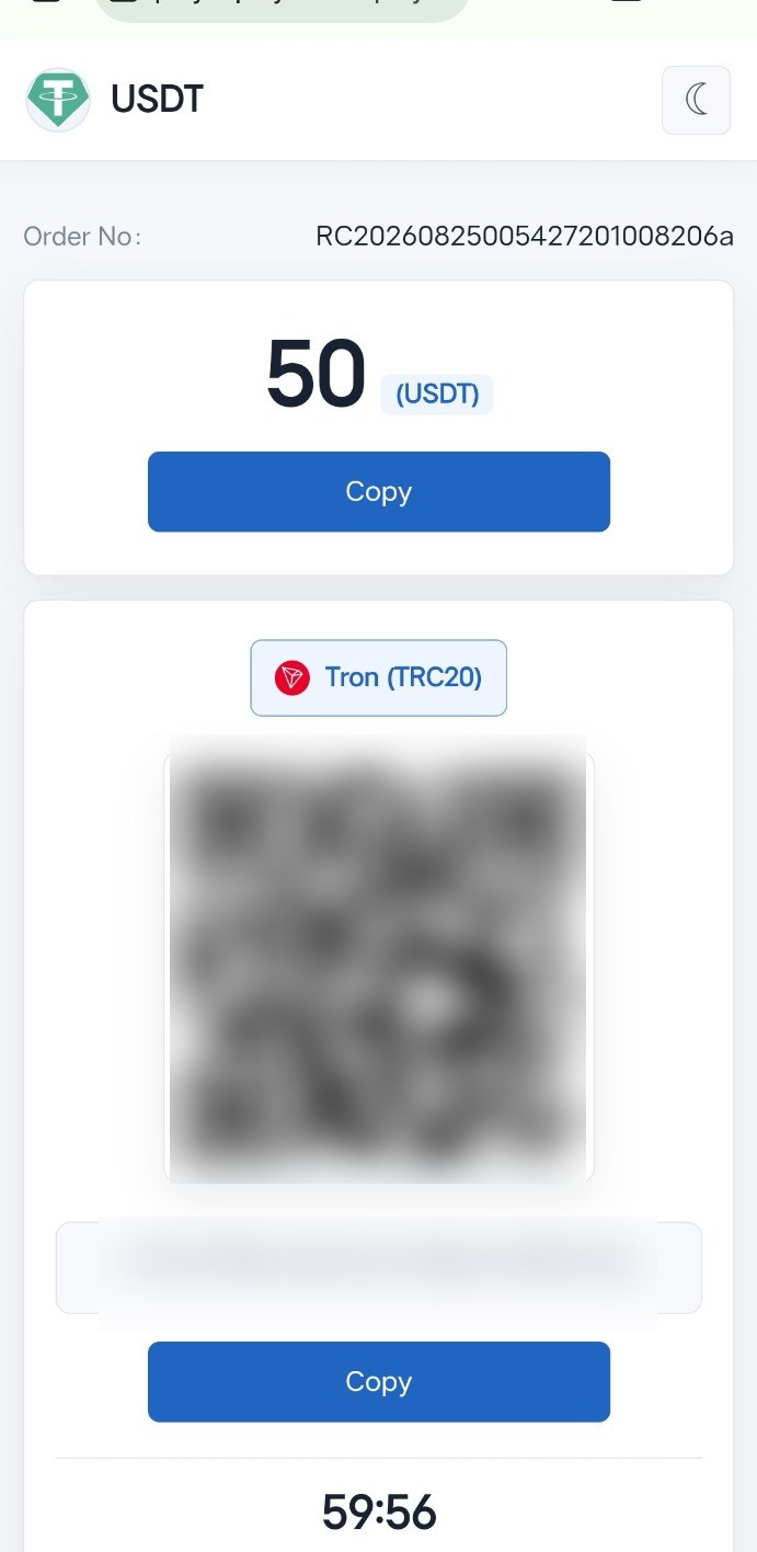 Example USDT TRC20 payment page with wallet details hidden